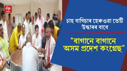 Preparatory Meeting of APCC in Tinsukia