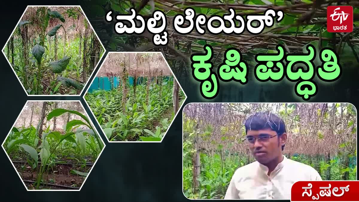 ALL 12 MONTHS INCOME FARMING MODEL  AKASH CHAURASIA FARMING MODEL  60 TYPES OF VEGETABLE FRUIT GROWING  MULTI LAYER FARMING TECHNIQUE