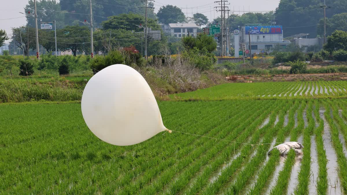 North Korea Sends Balloons