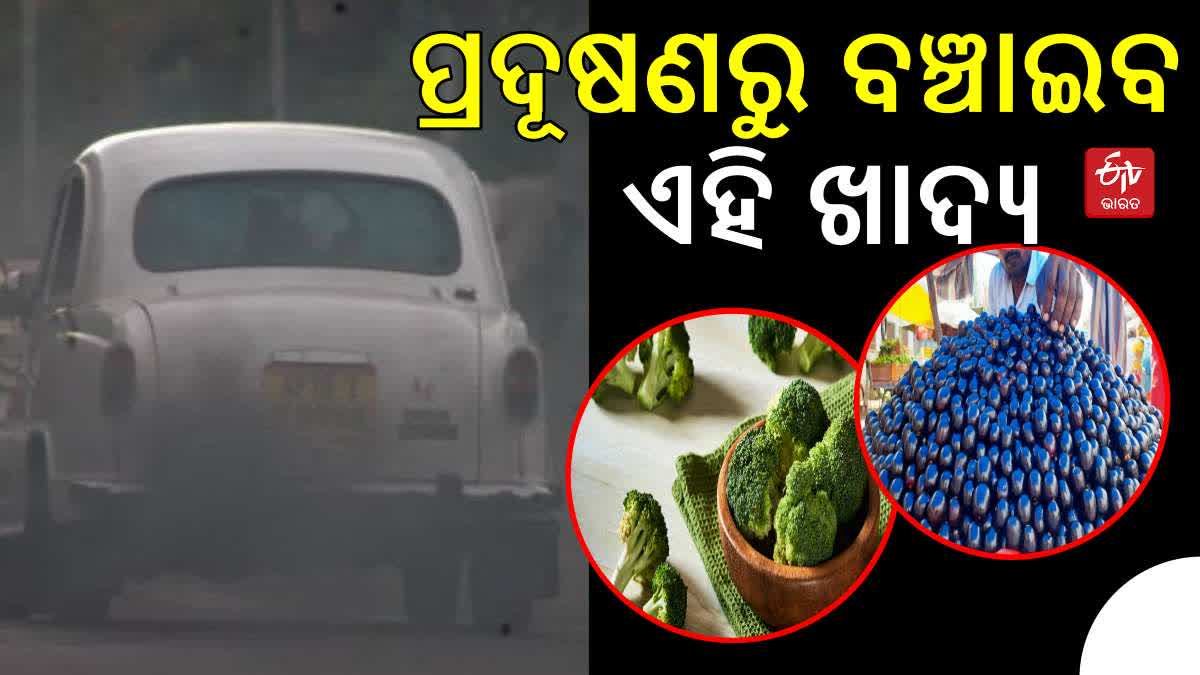 ଦୂଷିତ ବାୟୁରୁ ରକ୍ଷା ପାଇବାକୁ ଚାହୁଁଥିଲେ ଖାଆନ୍ତୁ ଏହି ଖାଦ୍ୟ, ସୁସ୍ଥ ରହିବ ଫୁସଫୁସ