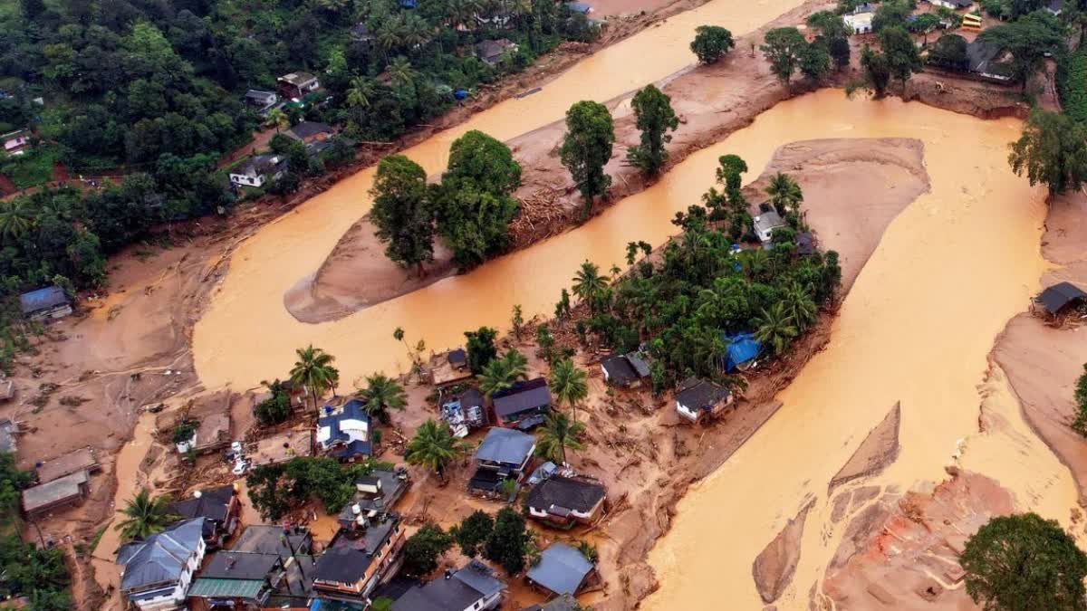 BODY PARTS WAYANAD DISASTER AREA  PUBLIC SEARCH MUNDAKKAI DISASTER  വയനാട് ജനകീയ തെരച്ചില്‍  മുണ്ടക്കൈ ശരീര ഭാഗങ്ങള്‍ കണ്ടെത്തി