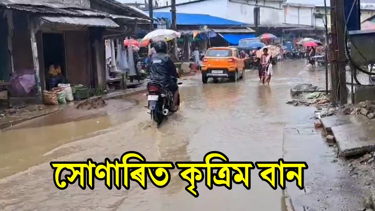 ARTIFICIAL FLOOD IN SONARI