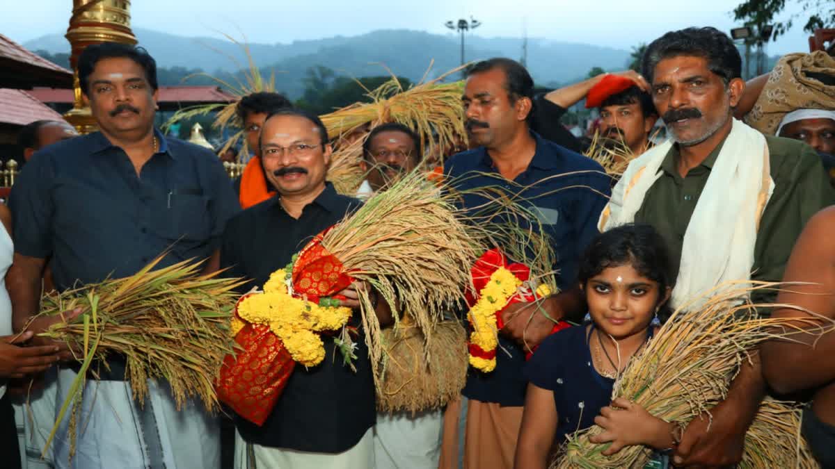 PTA SABARIMALA  നിറ പുത്തരി  ശബരിമല  Nelkathir