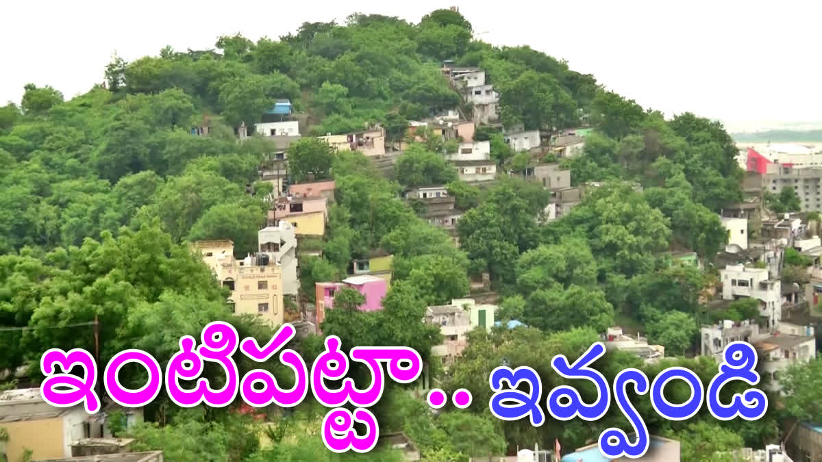 Vijayawada Hilly Areas People Facing Difficulties due to No House Rights