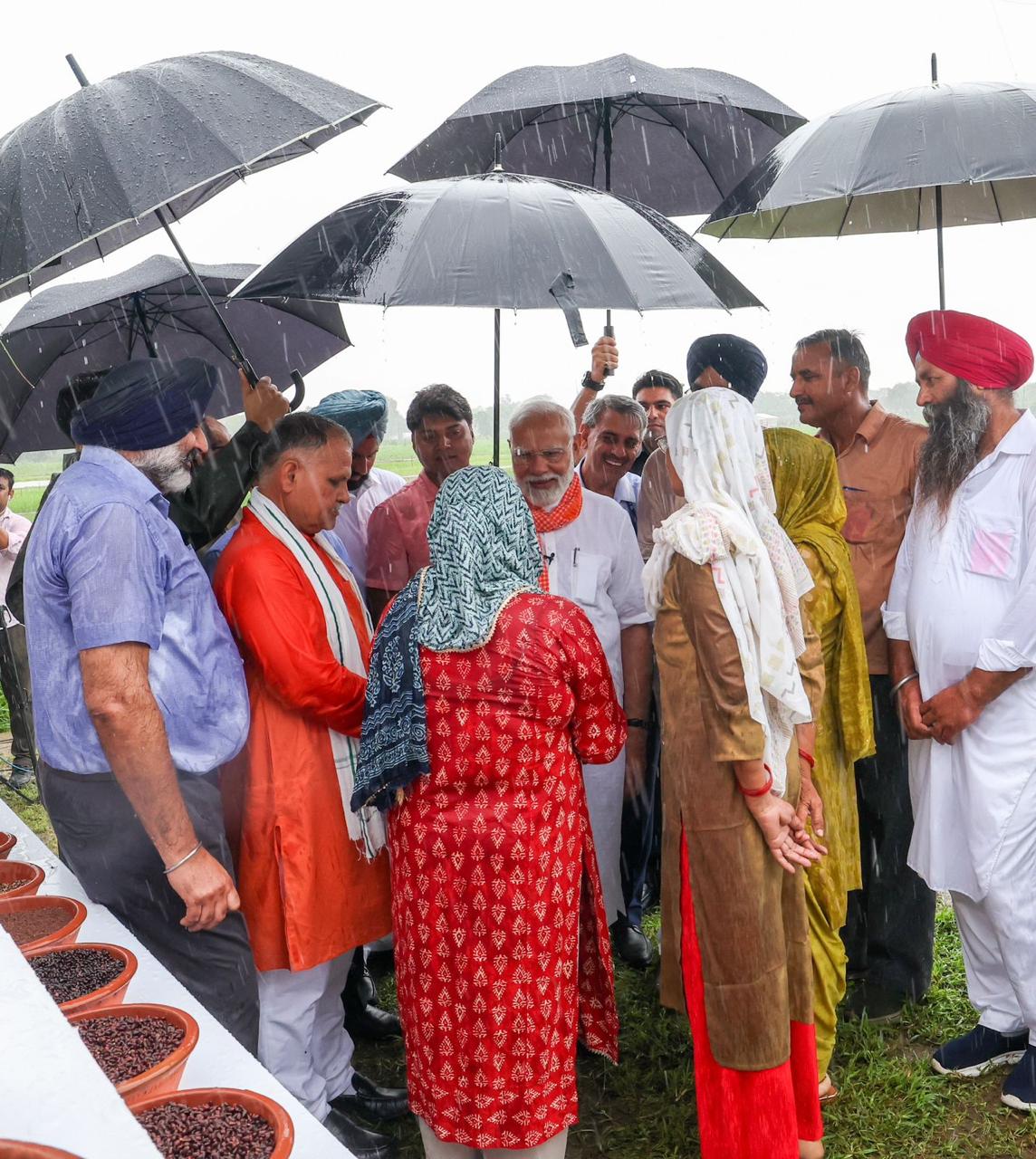 HIGH YIELDING SEEDS  PM MODI  AGRICULTURE  FARMING