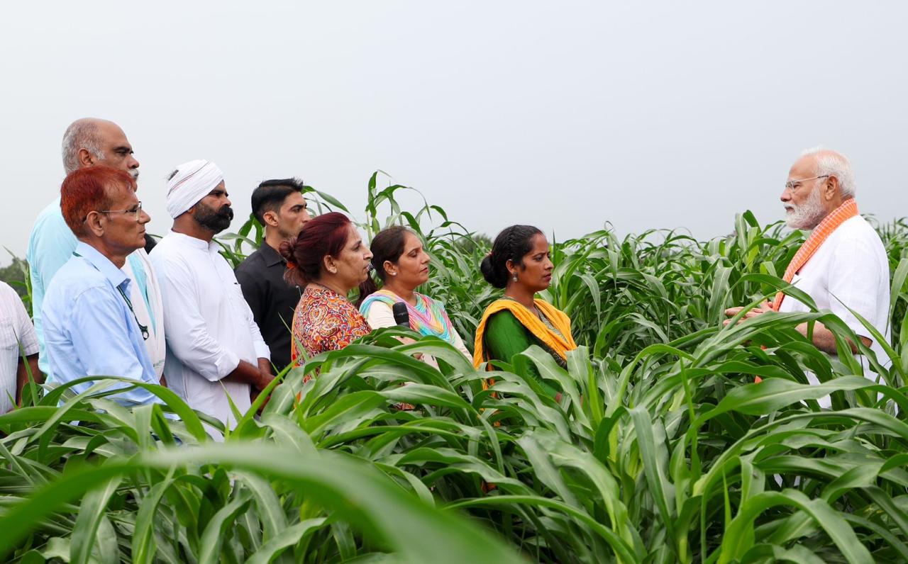 HIGH YIELDING SEEDS  PM MODI  AGRICULTURE  FARMING