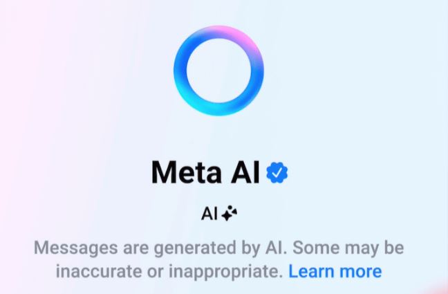 META AI RESPONSE ACCURACY