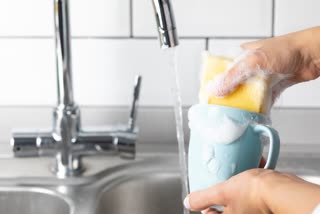 KITCHEN SPONGE