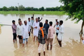 Waterlogging in Pali