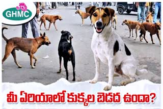 GHMC Dog Catching Helpline Number