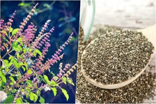 Basil seeds are effective in increasing the immune system and curing many diseases