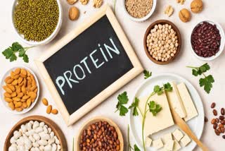 High Protein Diets