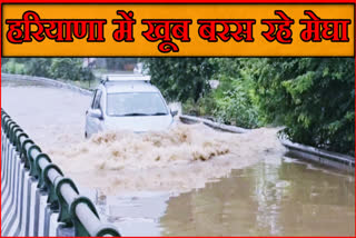 Heavy rain in Haryana and Chandigarh