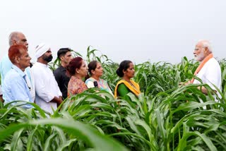 PM Modi releases 109 varieties of climate-friendly seeds