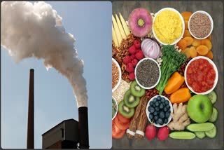 Food To Fight Pollution