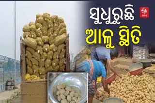 ODISHA POTATO CRISIS