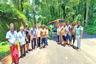 people-protest-by-planting-banana-and-colocasia-in-potholes