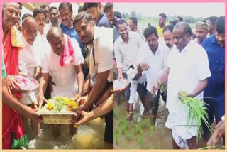 union-minister-hd-kumaraswamy-planted-paddy-in-mandya