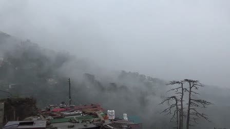 Himachal Weather Update