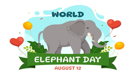 World Elephant Day 2024