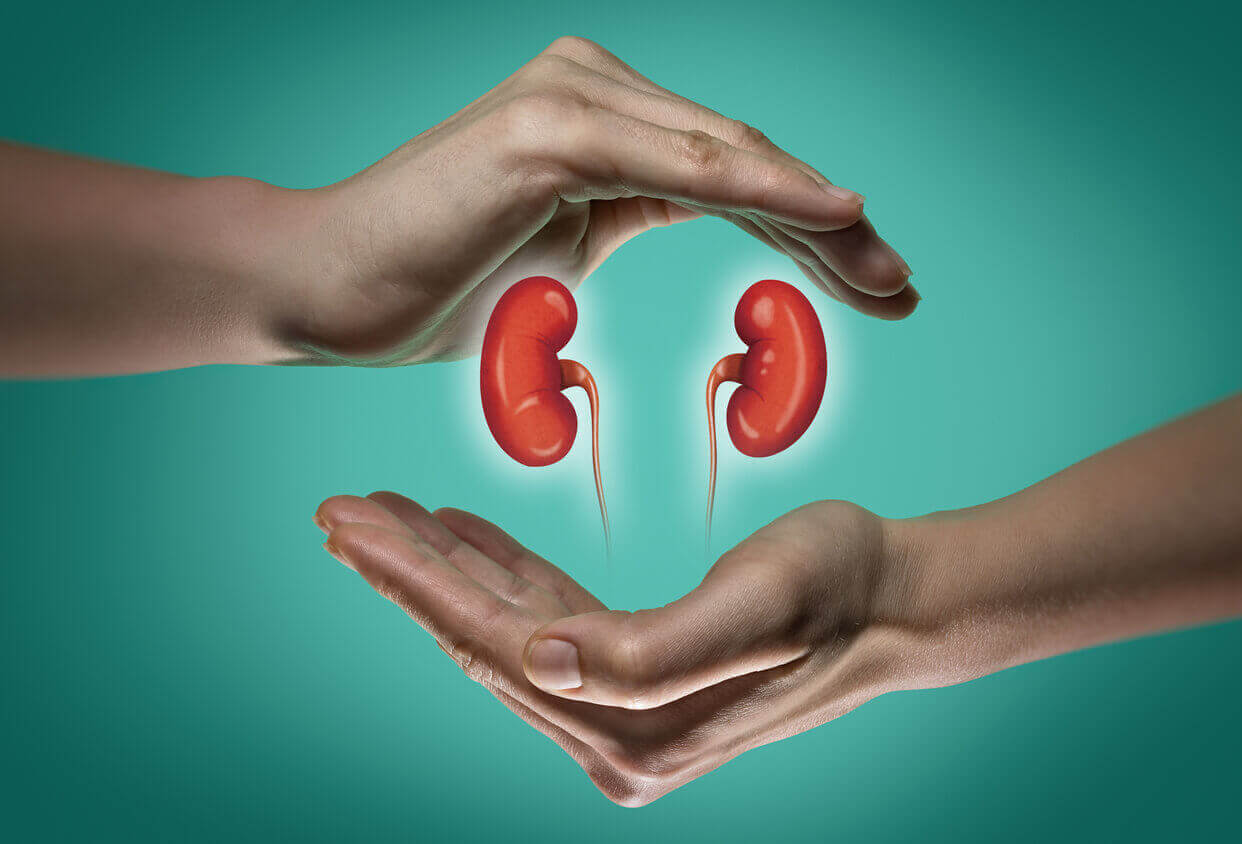 Kidney Disease causes Symptoms