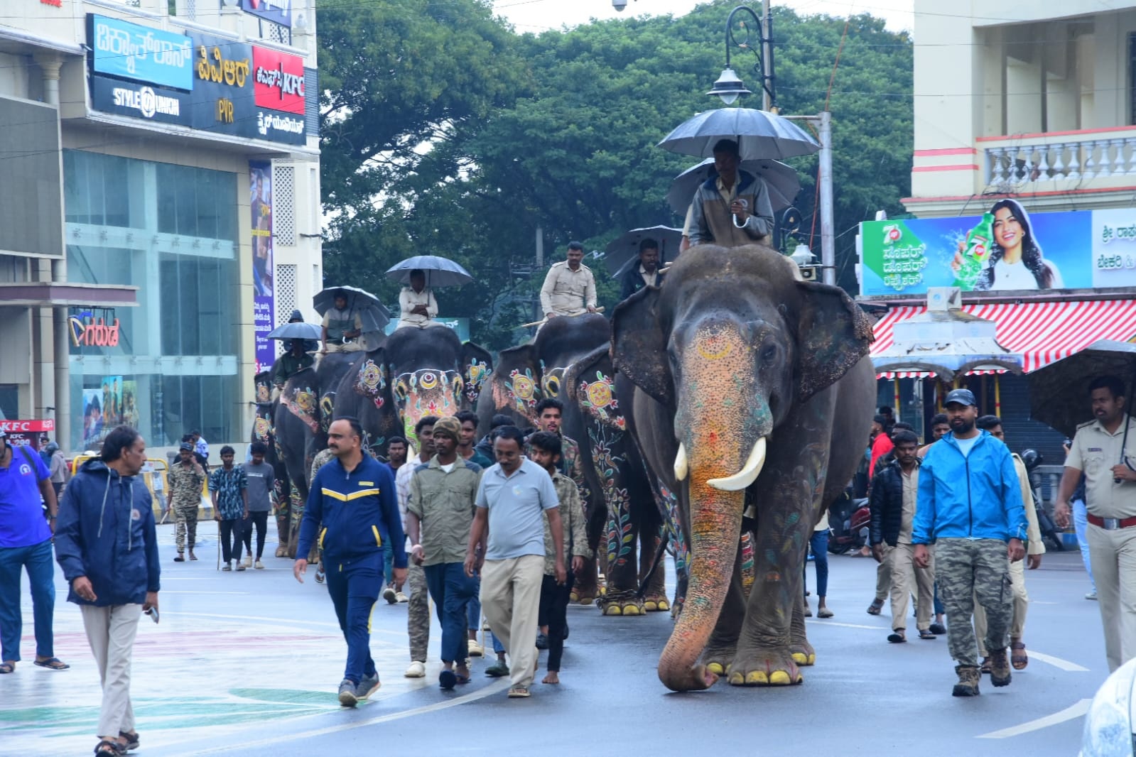 Elephants enters Mysuru