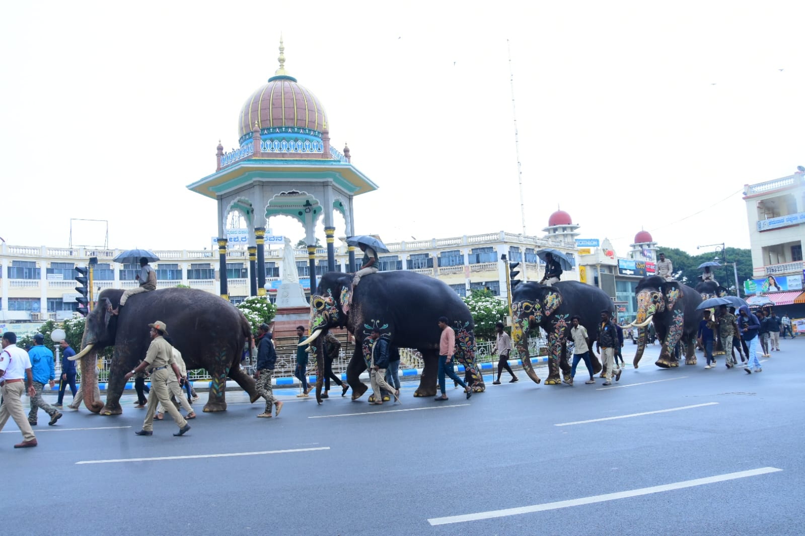 Elephants enters Mysuru