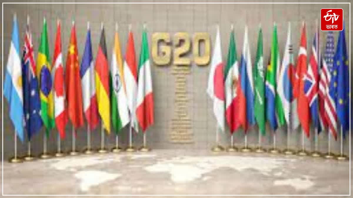 Govt on G20 Summit