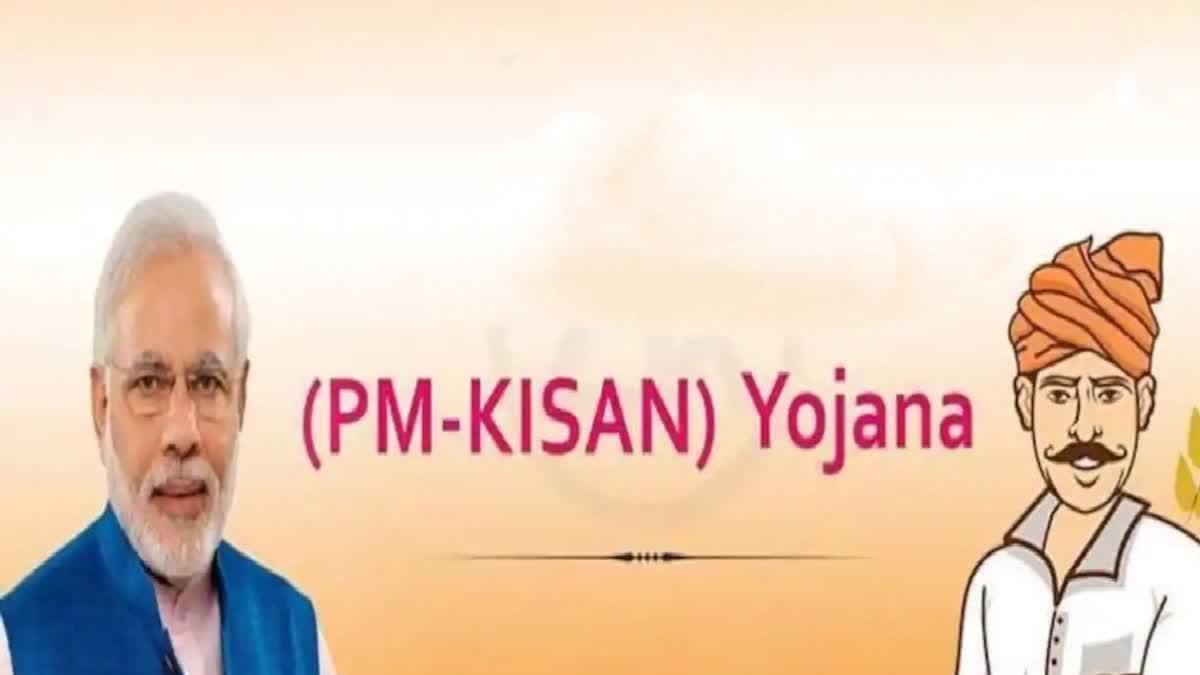 pm-kisan-yojana-ineligible-over-81-000-farmers-deemed-ineligible-for-pm-kisan-scheme-in-bihar