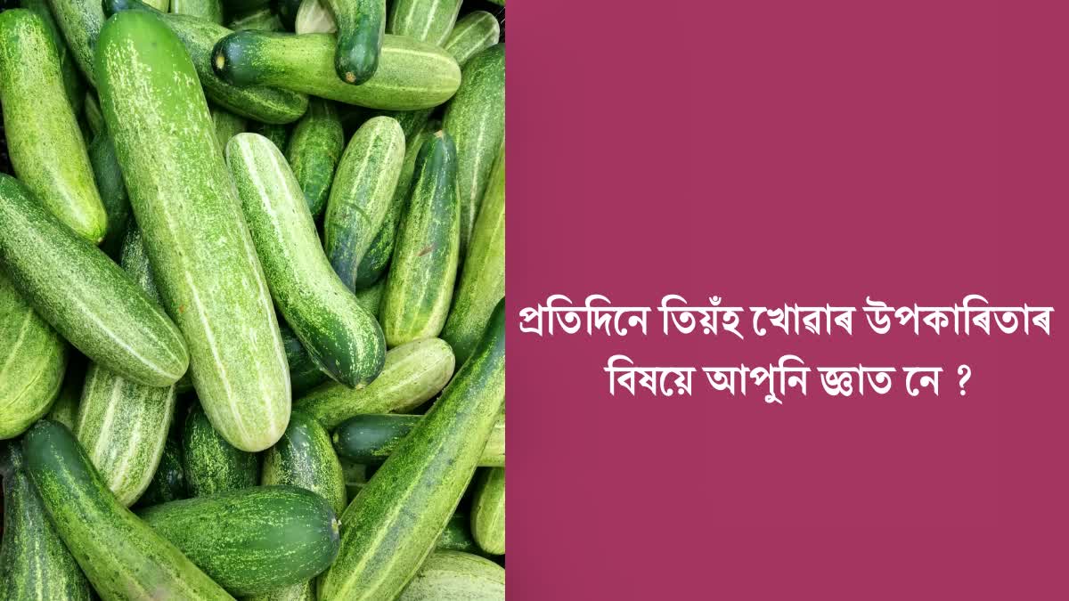 What happens if we eat cucumber daily ?