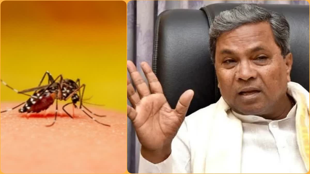 What is CM appeal to public  Dengue cases increase in the state  Dengue cases in Karnataka  ರಾಜ್ಯದಲ್ಲಿ ಡೆಂಘಿ ಪ್ರಕರಣ ಹೆಚ್ಚಳ  ಡೆಂಘಿ ಬಗ್ಗೆ ಭಯ ಬೇಡ  ರಾಜ್ಯದಲ್ಲಿ ದಿನದಿಂದ ದಿನಕ್ಕೆ ಡೆಂಘಿ ಪ್ರಕರಣ  ರಾಜ್ಯದ ರಾಜಧಾನಿಯಲ್ಲೂ ಅಧಿಕ ಡೆಂಘಿ ಪ್ರಕರಣ  7 ಸಾವಿರಕ್ಕೂ ಅಧಿಕ ಡೆಂಘಿ ಪ್ರಕರಣಗಳು ವರದಿ  ಎಲ್ಲಾ ಅಗತ್ಯ ಮುಂಜಾಗ್ರತಾ ಕ್ರಮ  ಮುಖ್ಯಮಂತ್ರಿ ಸಿದ್ದರಾಮಯ್ಯ ಅವರು ಅಧಿಕಾರಿಗಳಿಗೆ ಸೂಚನೆ