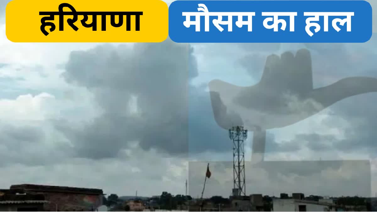 Rain Forecast in Haryana