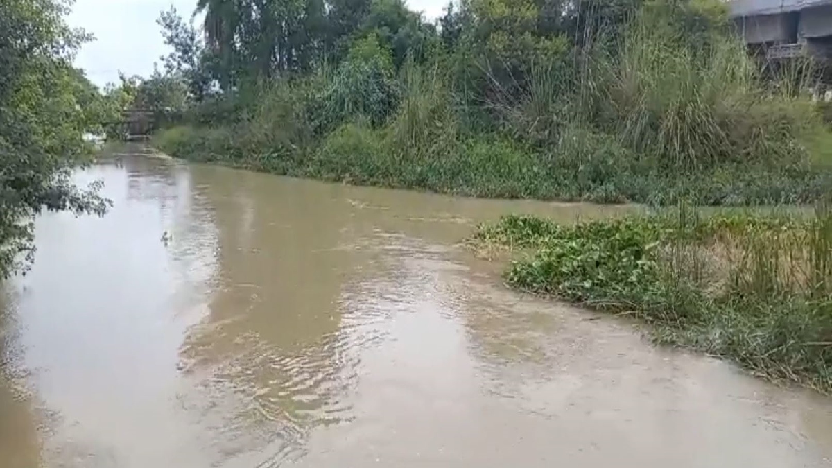 Car Fell into Western Yamuna Link Canal