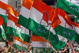 Congress formed committees for Election 2023