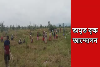 Preparation for Amrit Brikshya plantation record