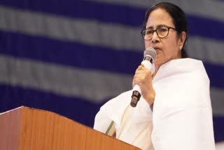 Mamata