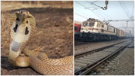 beggars-leave-snakes-in-train-in-chambal-express-uttarpradesh-for-not-giving-money