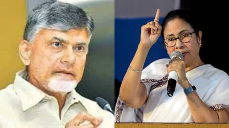 Mamata On Chandrababu Arrest