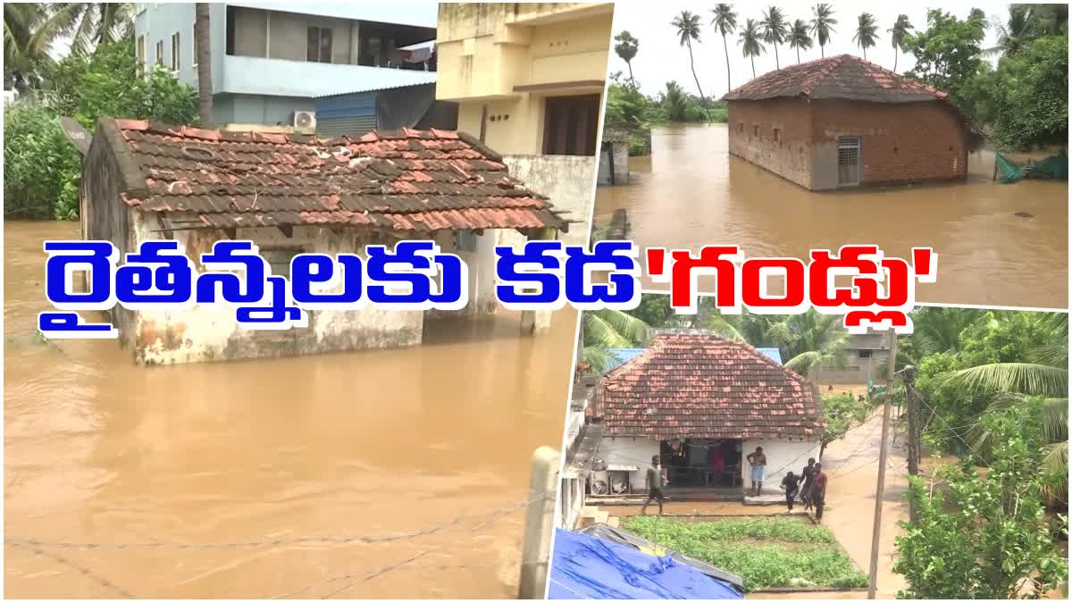 Severe Damage Canals in Guntur Irrigation Dept Focus to Revive