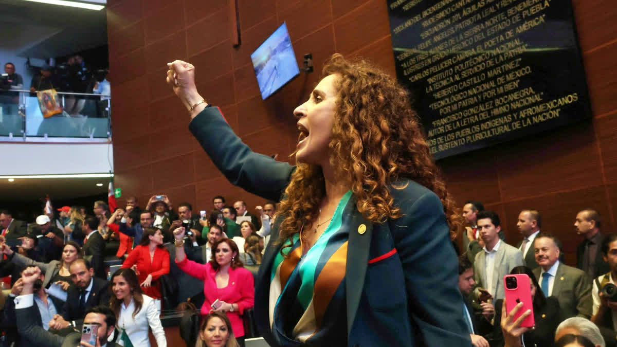 Protesters Storm Mexican Senate To Disrupt Judicial Reform Debate