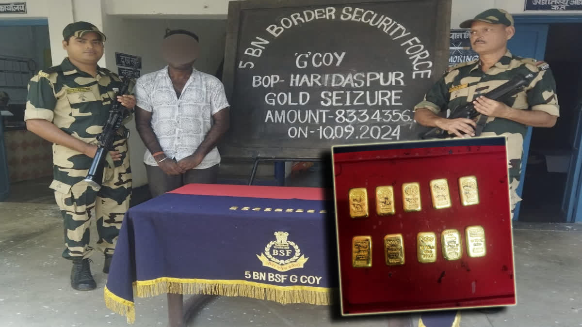 BSF Seized Gold Biscuits in Bangaon