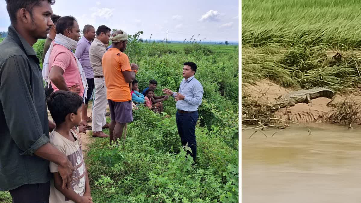 CROCODILE WAS SEEN IN TOKPAL BASTAR