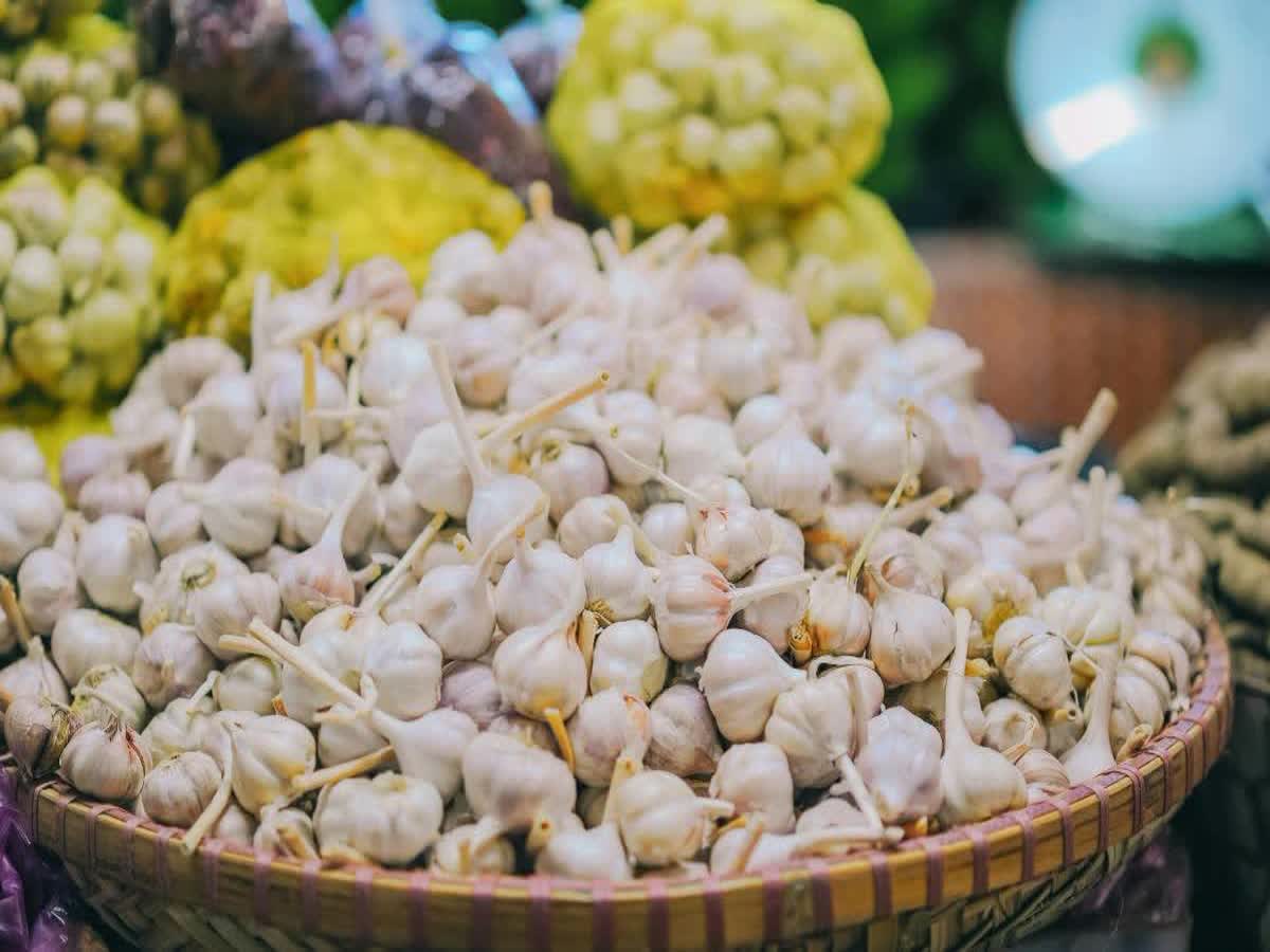 Farmers Of Rajasthan, Gujarat Apprehend Losses With Entry Of Chinese Garlic  In Indian Markets