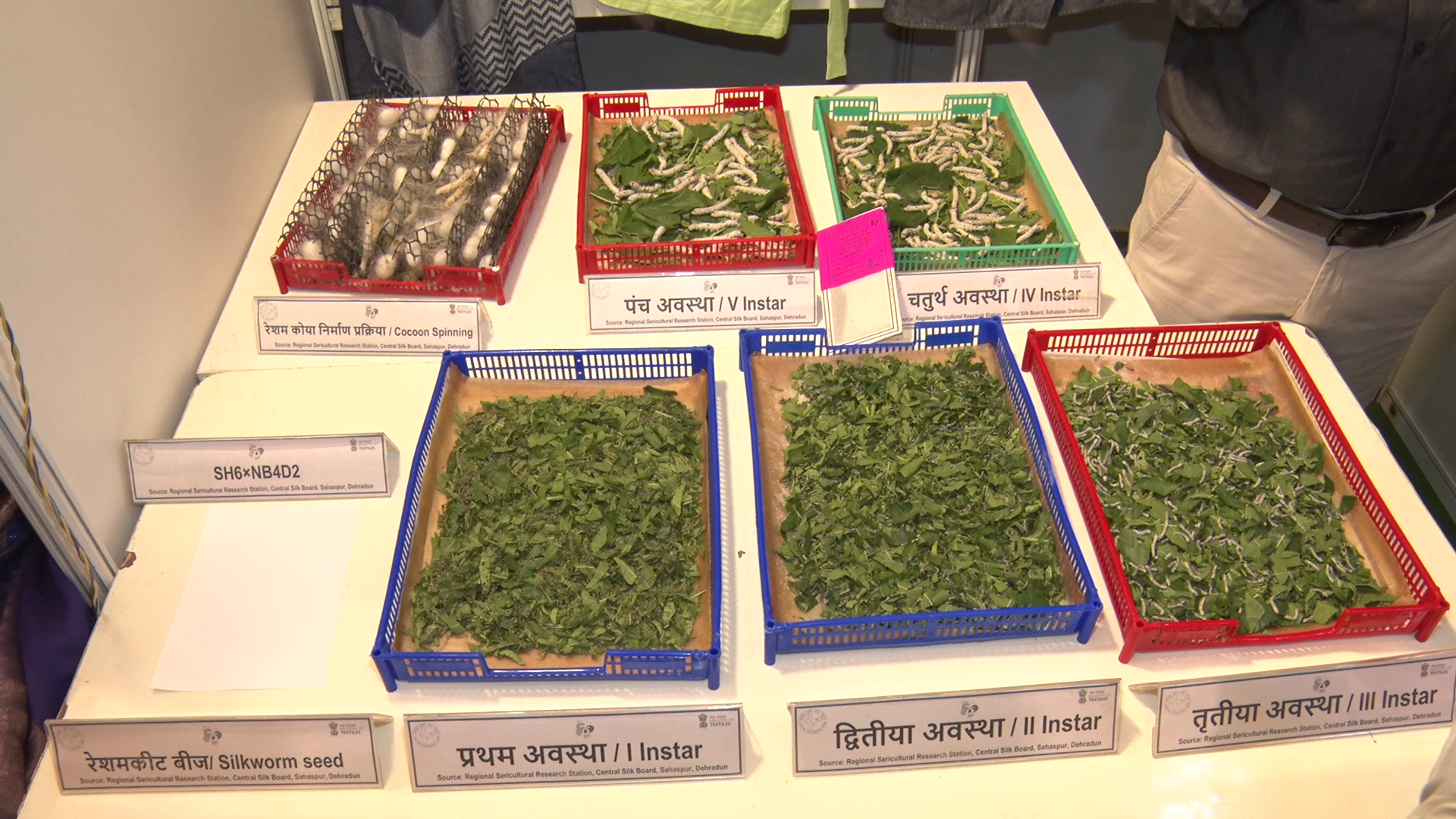 Silk Farming in Uttarakhand