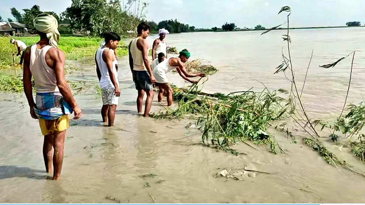 पानी रोकने की कोशिश हो रही है नाकाम