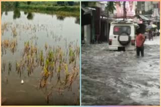 Heavy rain in Dholpur