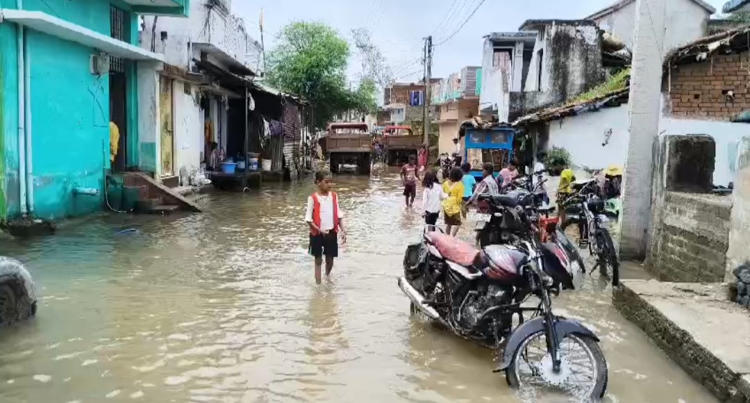 ETV Bharat Chhattisgarh