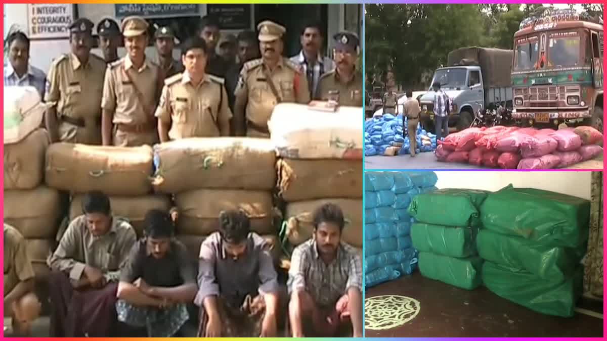 One_Hundred_Ganja_Smugglers_Arrested