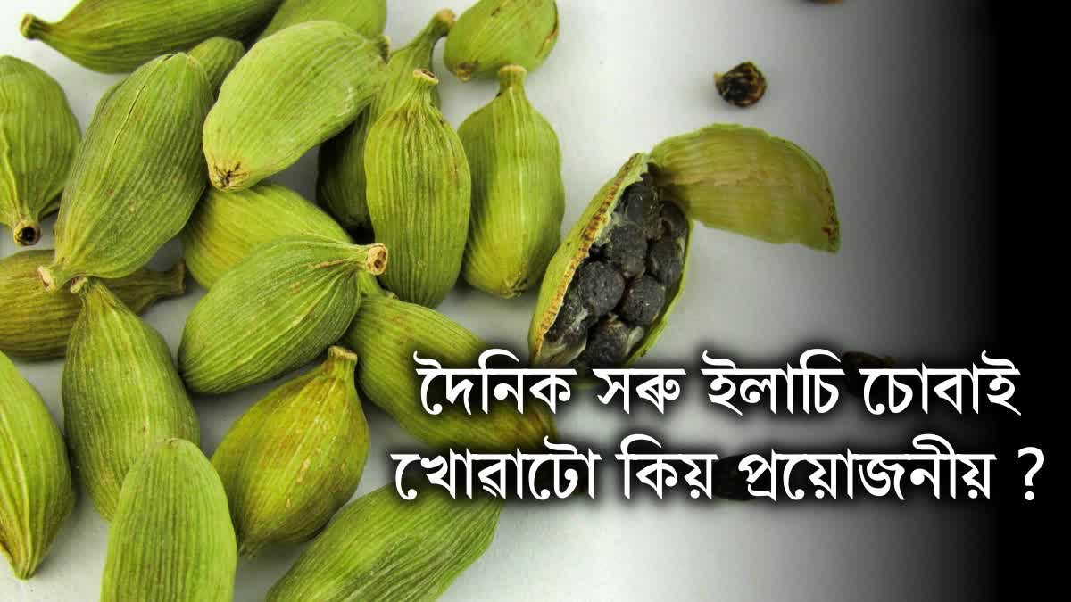 What happens if we eat cardamom daily? let's learn the benefits of eating cardamom