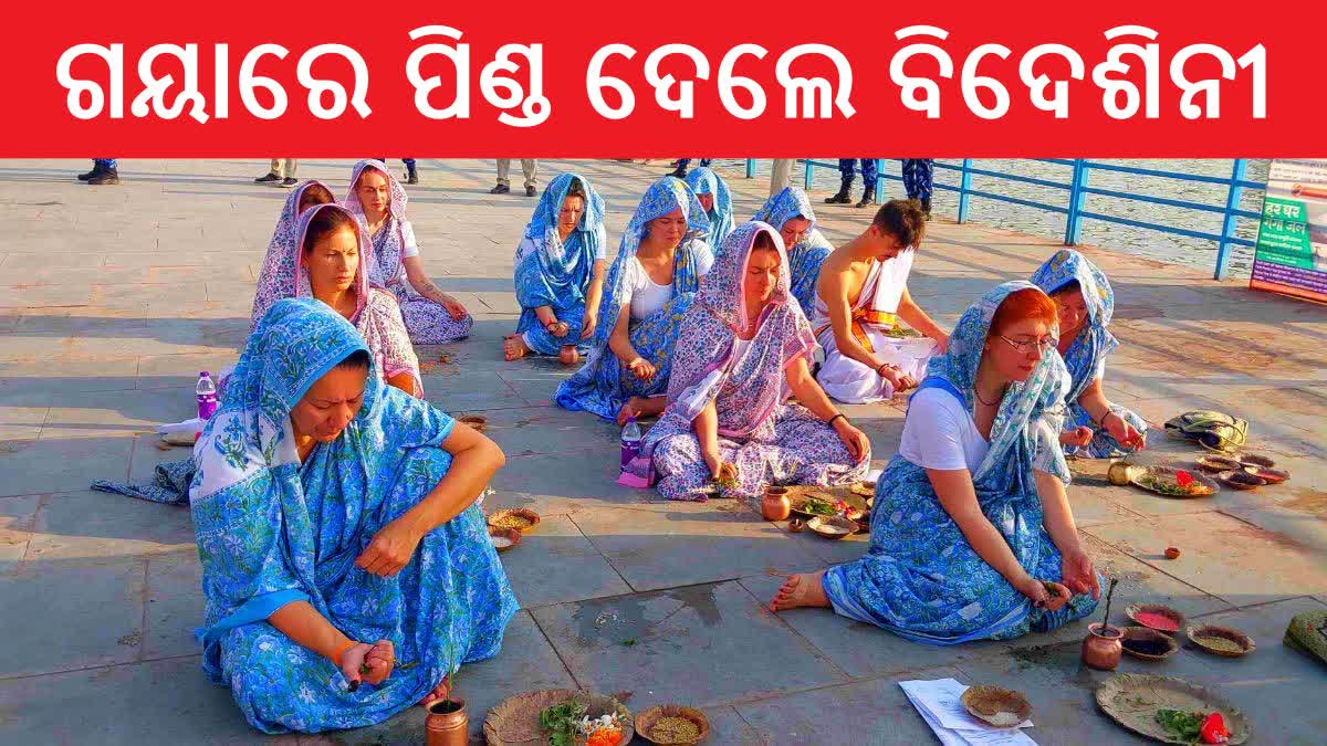 Pitru paksha mela 2023: ଗୟାରେ ପିତୃ ପୁରୁଷଙ୍କୁ ପିଣ୍ଡଦାନ କଲେ ଜର୍ମାନୀ ମହି